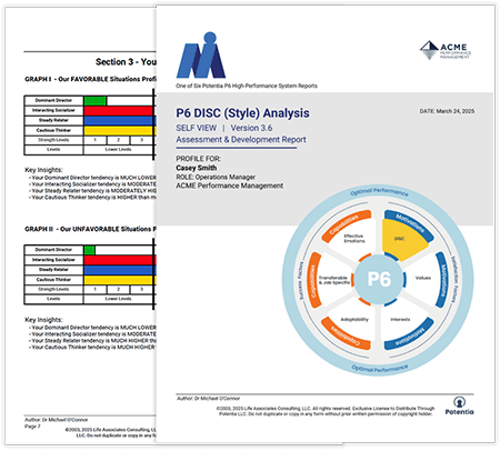 P6 Disc Assessment